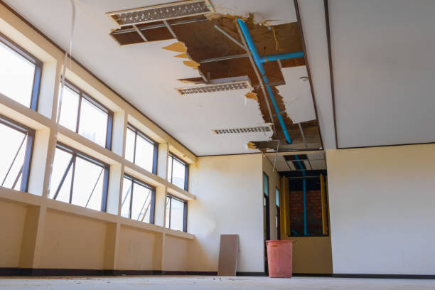 Best Emergency water damage restoration  in Paradise Hills, NM