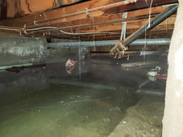 Water damage restoration process in Paradise Hills, NM
