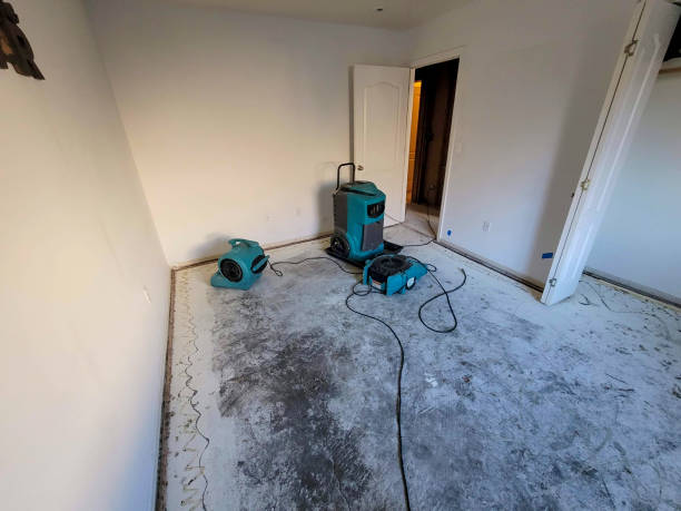 Best 24-hour water damage restoration  in Paradise Hills, NM