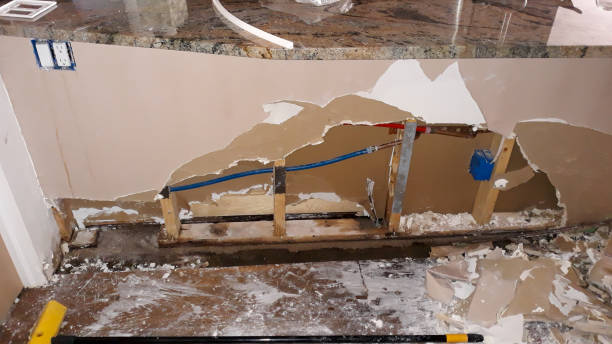 Best Professional water damage repair  in Paradise Hills, NM