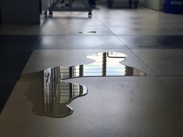 Best Water damage restoration services  in Paradise Hills, NM