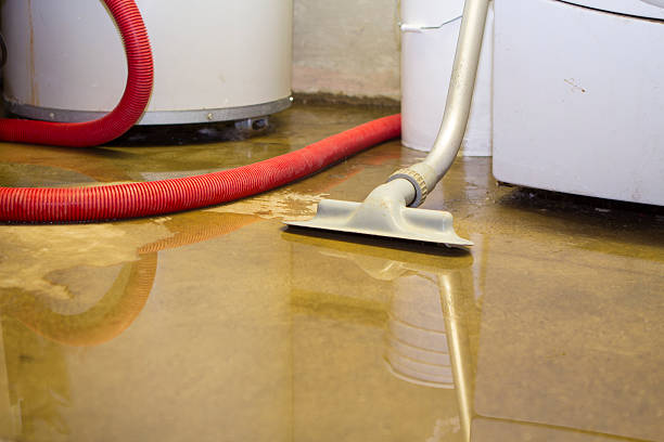 Best Residential water damage restoration  in Paradise Hills, NM