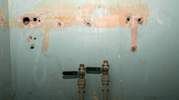 Best Flooded house restoration  in Paradise Hills, NM