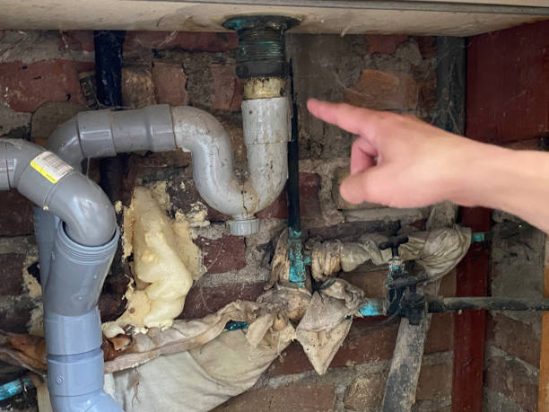  Paradise Hills, NM Water damage restoration Pros