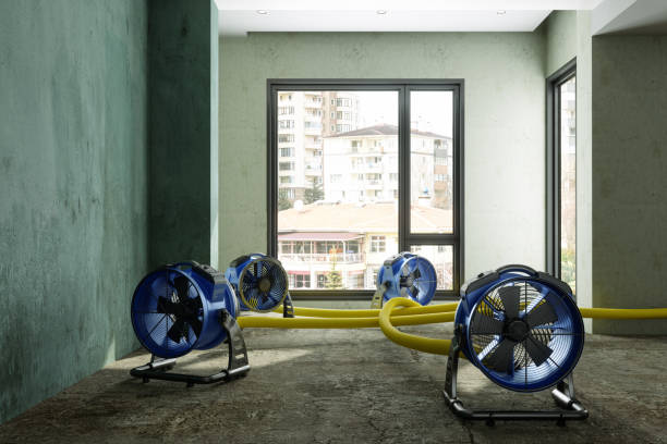 Best Flood restoration services  in Paradise Hills, NM